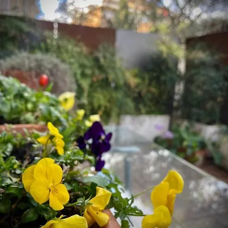 Garden House Roma